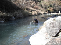 秩父フライフィールド 釣果