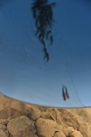 秩父フライフィールド 釣果