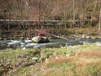 秩父フライフィールド 釣果