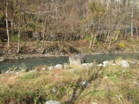 秩父フライフィールド 釣果