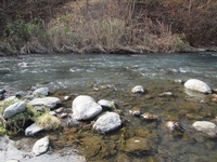 秩父フライフィールド 釣果