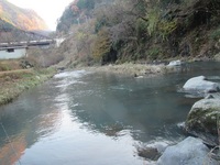 秩父フライフィールド 釣果