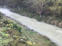 秩父フライフィールド 釣果