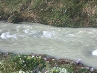 秩父フライフィールド 釣果