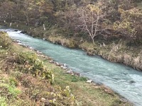 秩父フライフィールド 釣果