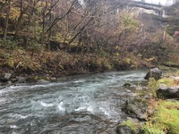 秩父フライフィールド 釣果