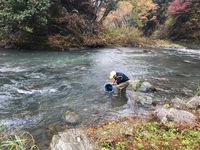 秩父フライフィールド 釣果