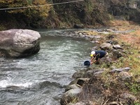 秩父フライフィールド 釣果
