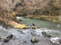 秩父フライフィールド 釣果