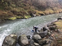 秩父フライフィールド 釣果