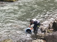 秩父フライフィールド 釣果