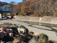 秩父フライフィールド 釣果