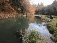 秩父フライフィールド 釣果