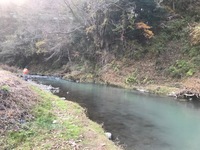 秩父フライフィールド 釣果