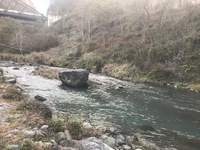 秩父フライフィールド 釣果