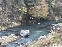 秩父フライフィールド 釣果