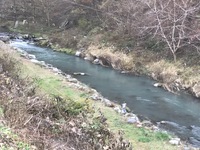 秩父フライフィールド 釣果