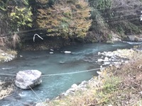 秩父フライフィールド 釣果