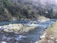 秩父フライフィールド 釣果