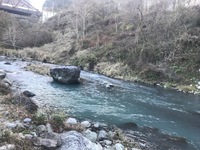 秩父フライフィールド 釣果