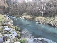 秩父フライフィールド 釣果