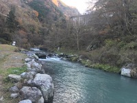 秩父フライフィールド 釣果