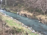 秩父フライフィールド 釣果