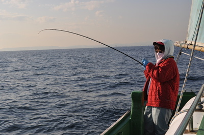 根岸丸 釣果