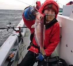 かねい丸 釣果