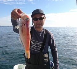 かねい丸 釣果