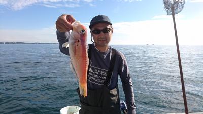 かねい丸 釣果