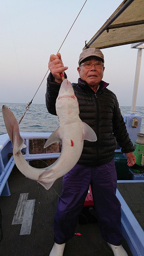 小樽港遊漁船ＳＨＡＫＥ 釣果