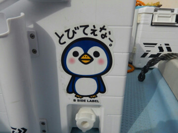 きずなまりん 釣果