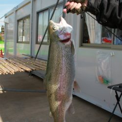 としまえんフィッシングエリア 釣果