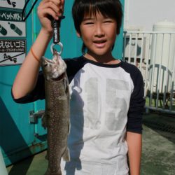 としまえんフィッシングエリア 釣果