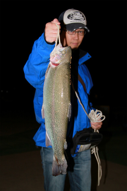 としまえんフィッシングエリア 釣果