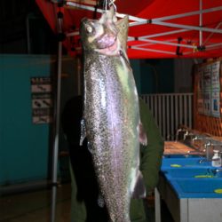 としまえんフィッシングエリア 釣果