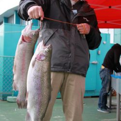 としまえんフィッシングエリア 釣果