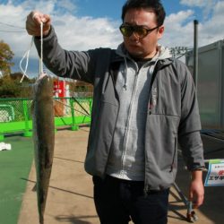 としまえんフィッシングエリア 釣果