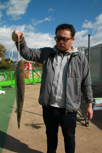としまえんフィッシングエリア 釣果