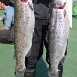 としまえんフィッシングエリア 釣果