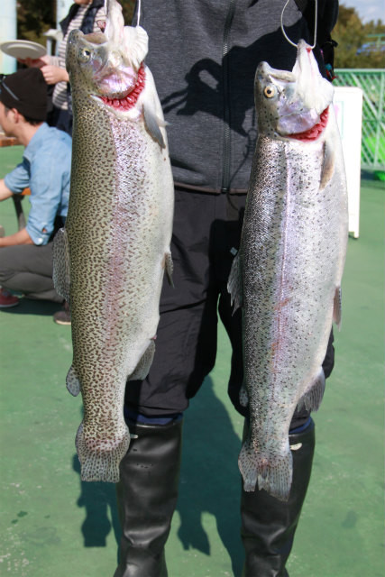としまえんフィッシングエリア 釣果