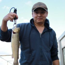 としまえんフィッシングエリア 釣果