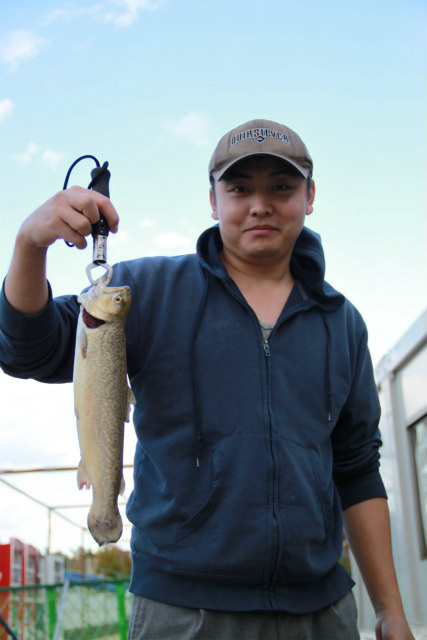 としまえんフィッシングエリア 釣果