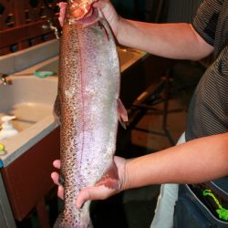 としまえんフィッシングエリア 釣果