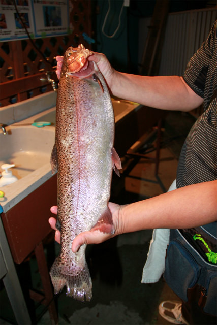 としまえんフィッシングエリア 釣果