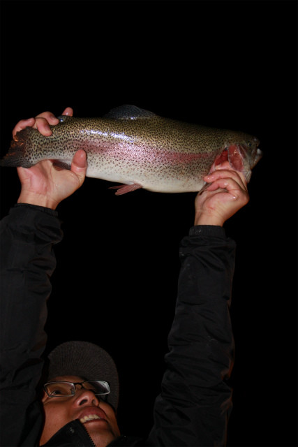 としまえんフィッシングエリア 釣果