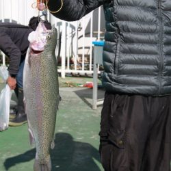 としまえんフィッシングエリア 釣果