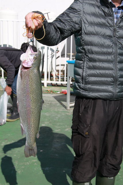 としまえんフィッシングエリア 釣果