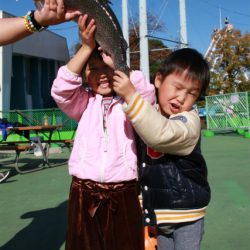 としまえんフィッシングエリア 釣果